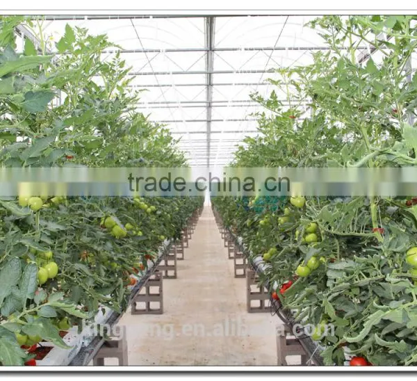 Green House for Plants Growing photo-3