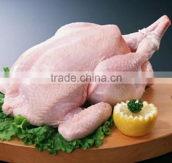 OULENO Injection of Chicken and Pork Fish With Brine Injection Machine Sausage Casing photo-5
