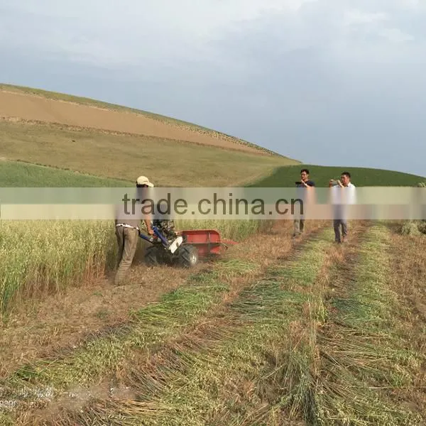 Agricultural 4GL120 Rice Reaper Head photo-2