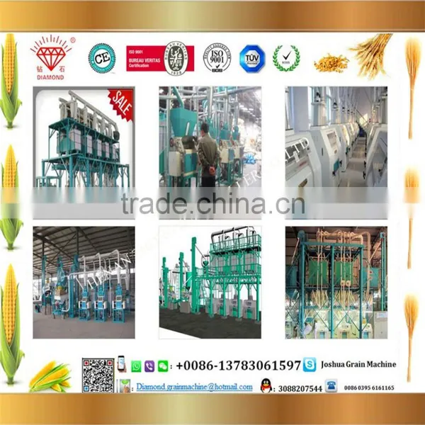Factory Direct Supply 50 T/Day Maize Flour Machine Maize Milling Machine photo-3