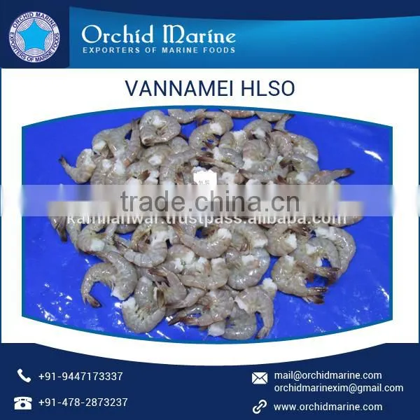 White IQF Vannamei HLSO Shrimp Wholesale Exporter photo-3