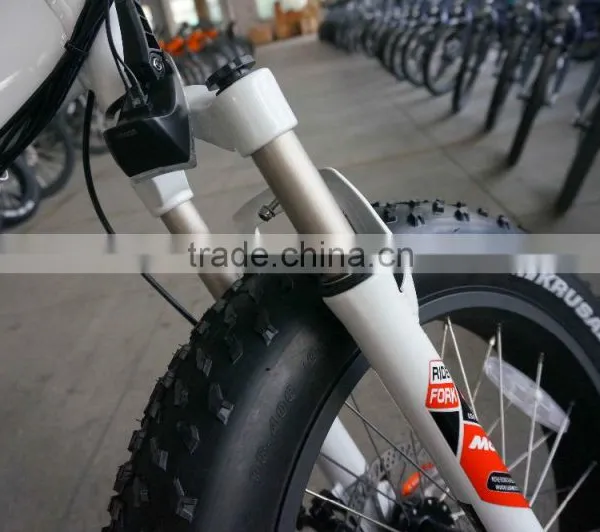 2016 Top Seller High Speed 20 Inches Electric Folding Fat Tire Bike Hasky Bike photo-4