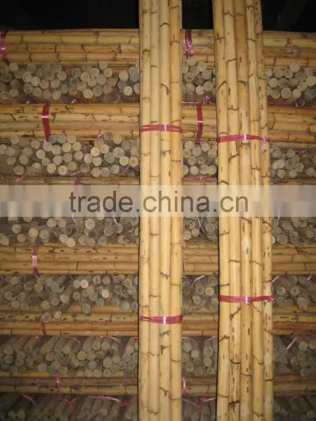 Manau Cane, Manau, Manao, Rattan Pole, Pole, Rattan, Cane, Rattan Cane, Cricket Cane, Singapore Cane, Manao Cane, Manao Pole photo-4