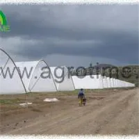 Flower Plastic Greenhouse