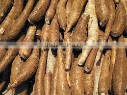 CASSAVA CHIP