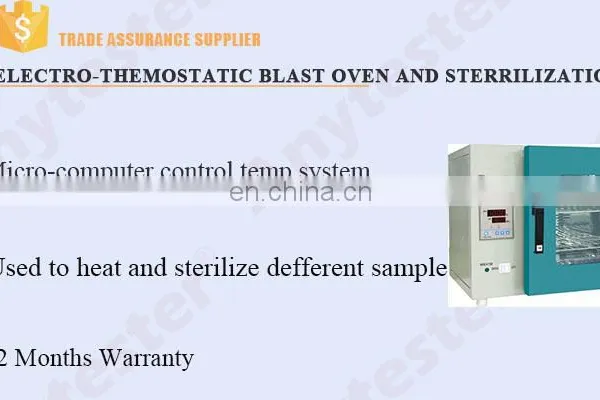 Electric-Thermostatic Blast Oven and Sterilization photo-2