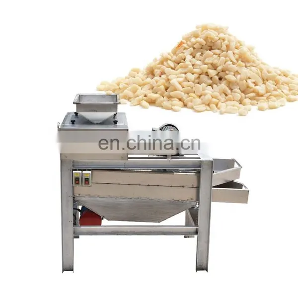 Hot Sale Automatic Peanut Crushing Almond Chopping Chestnut Cutting Machine Nut Dicing Chopper Machine photo-4