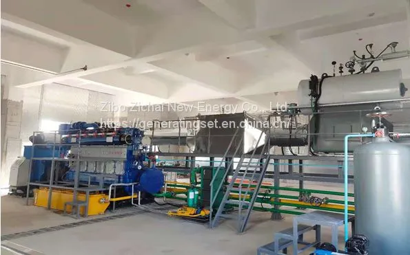 Natural gas generator gas power generator with chp plant