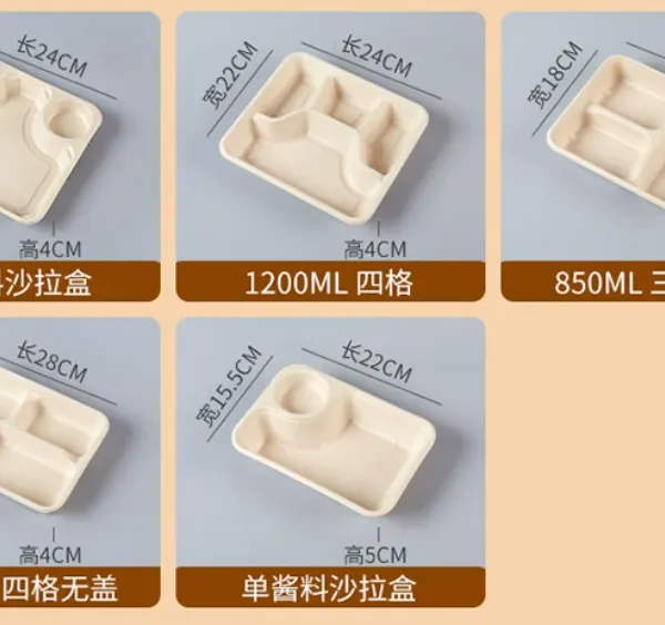 Molded Fiber 6-Compartment Square Divided Tray With Lid Bagasse Pulp for Catering