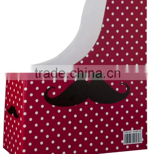 File Folder A4 Document Box