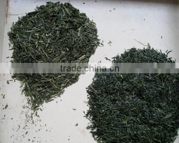 Chinese Organic Green Tea Sencha photo-2
