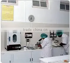 Vietnam Coconut Milk Powder 1Kg, 20Kg FMCG Products photo-3