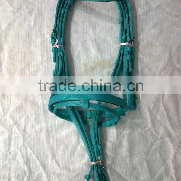 Bridle