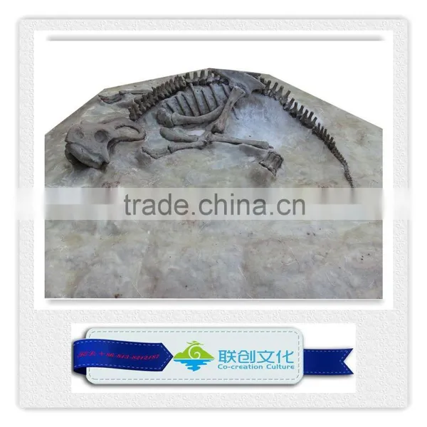 High Quality Original Size Dinosaur Fossil photo-3