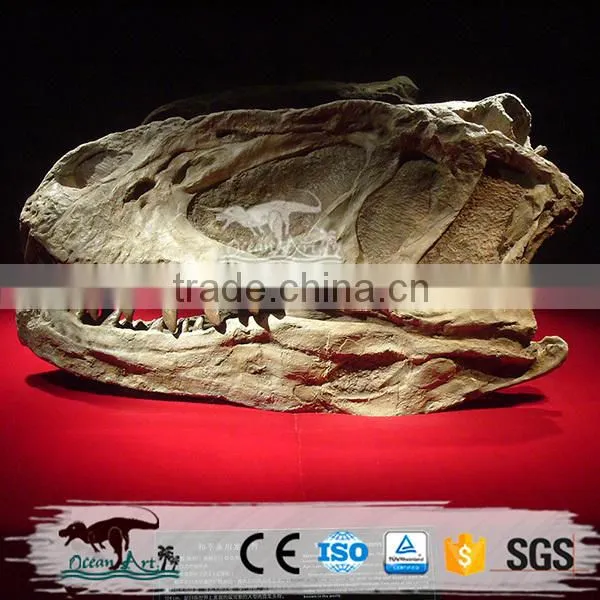 OA-DS-20160505S9 Life Size Dinosaur Head Fossil photo-6