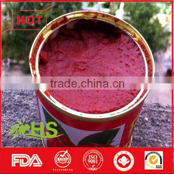 Tomato Paste of Best Quality photo-3