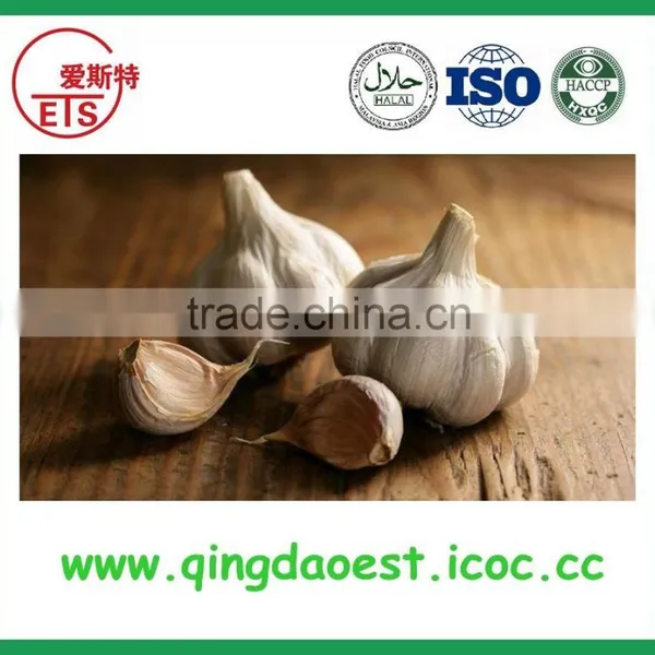 Top Quality Factory Price Fresh White Garlic photo-3