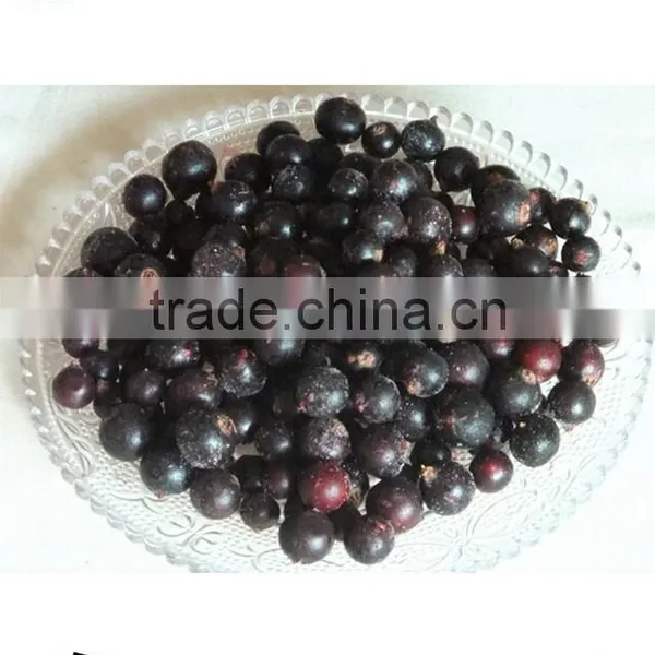 IQF Frozen Balck Currant Hot Sale 2015 photo-5