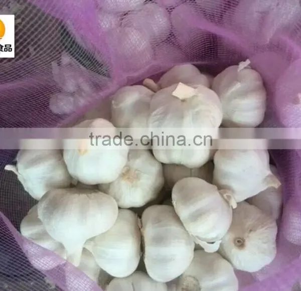 Nuisanceless Dried Pure White Garlic