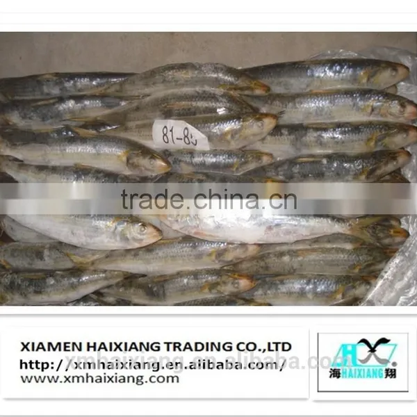 Price Frozen Sardine photo-2