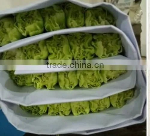 Best Price Fresh Carnation Flowers for Sell photo-2