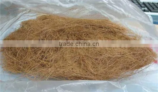 2017 New Energy Saving Palm Fibre Dryer Machine/coir Fibre Dryer for India and Pakistand Client photo-4