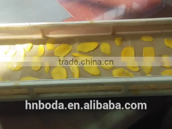 Tropical Food Machinery Mango Processing photo-3