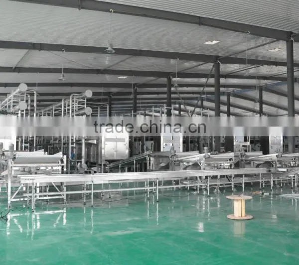 Cherry Multiple Layer Continuous Type Mesh Belt Dryer photo-3