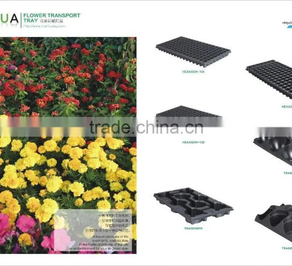 Plastic Seedling Tray Molding Machine photo-5