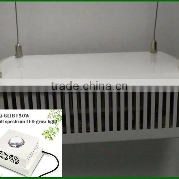 Cob Led Grow Light Lamp 150w Small Grow Lamp for Grow Tent photo-4