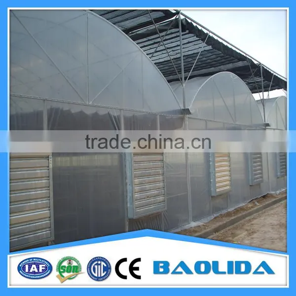 Factory Price Galvanized Steel Frame Agricultural Plastic Green House photo-3