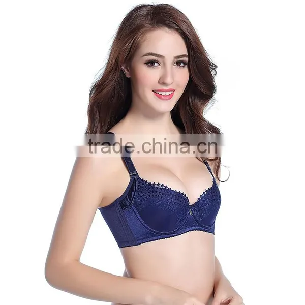 Panties New Design 2015 Latest Blue Color Sexy Bra photo-2