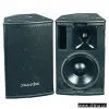 Sell 2-Way Professional Speaker