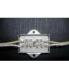 Piranha LED Module