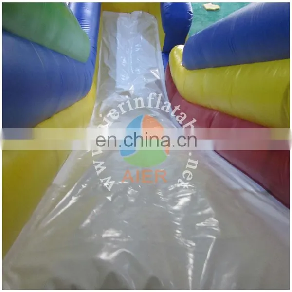 Double Lanes Dry Slides/inflatable Slide Game photo-4