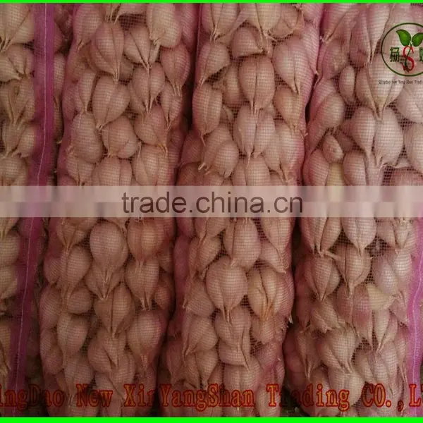 (NEW) 2015 FRESH Garlic/New Garlic;HOT! HOT! HOT! photo-2