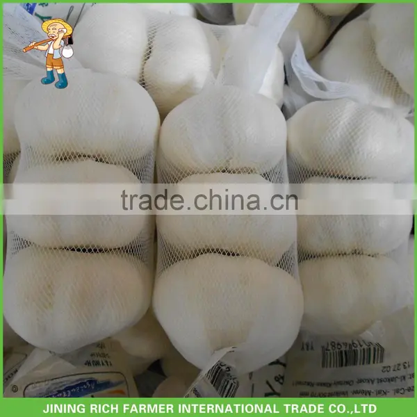 Fresh Garlic Normal White Wholesale Market