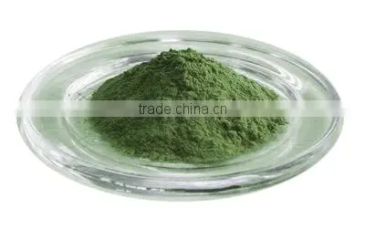Best Quality Cissus Quadrangularis Powder Sale photo-6