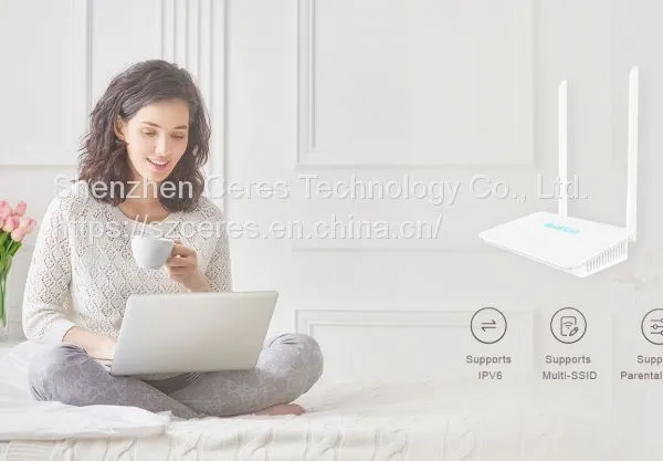 300m-wifi-router-cr300 photo-4