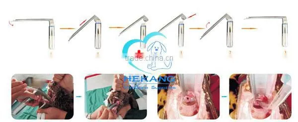 Medical Veterinary Pig Anesthesia Laryngoscope photo-2