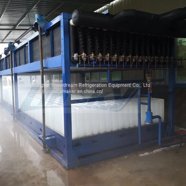 Ice Block Compressor 30Ton High Production Block Ice Machine photo-2