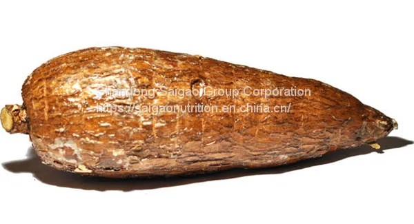 Resistant Dextrin(Soluble Tapioca Fiber)(Liquid) photo-2