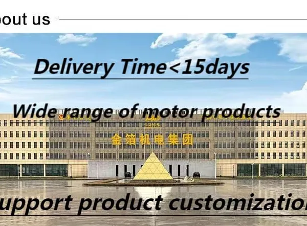 YZR Series Wound Rotor Electric Motor for Tower Crane Slewing/Electric Hoisting Motor photo-2