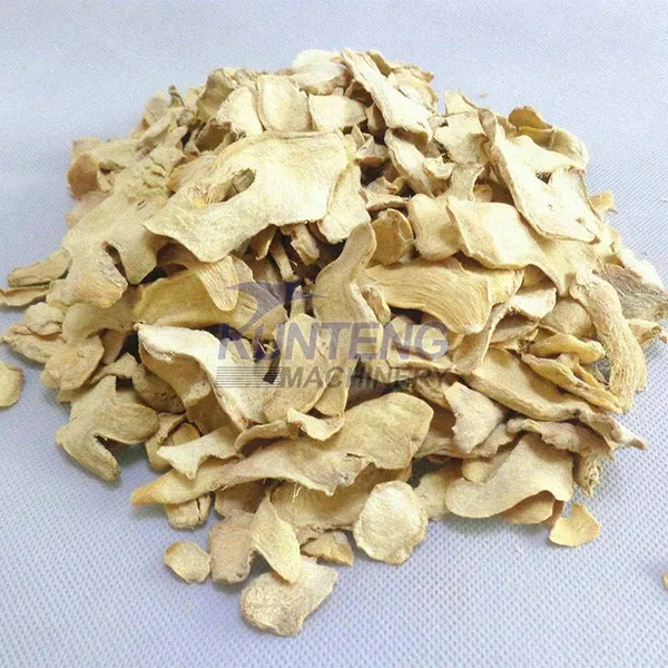 Heat Hump Ginger Dryer Mesh Belt Drying Machine Turmeric Continuous Onion Drying Equipment Dehydrator EPC photo-2
