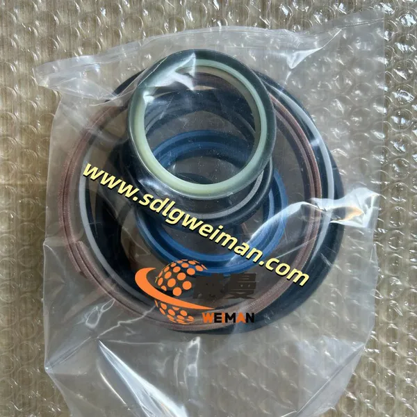 ORIGINAL SDLG 4120004770019 SEALING KIT APPLY FOR SDLG EXCAVATOR GRADER photo-3