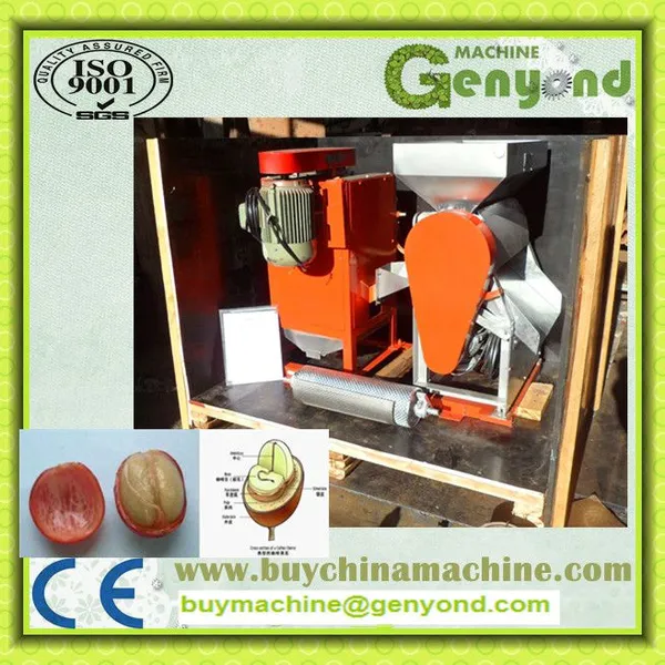 Green Coffee Bean Processing Unit Machine for Coffee Processing Line photo-5