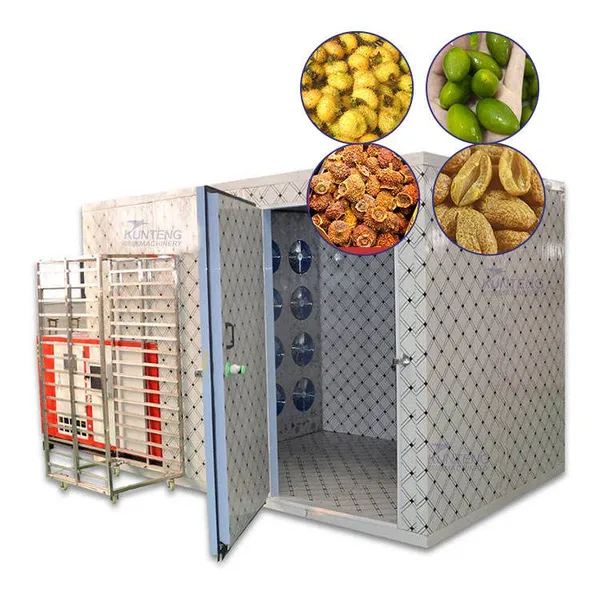 Prickly Pear Green Olive Heat Pump Dehydrator Industrial Food Drying Machine