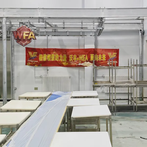 Beef Slaughtering Equipment Cow Butcher Machinery Bull Abattoir Machine USDA Machine Cattle Meat Processing Conveyor Line photo-4