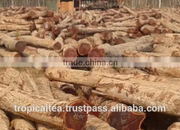 Round Logs Cam xe Pyinkado Cambodia Wood photo-2