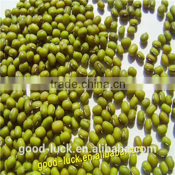 Mung Beans for Food Grade photo-5